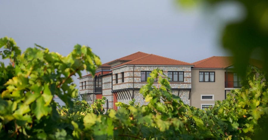 oenogenesis estate 8.jpg